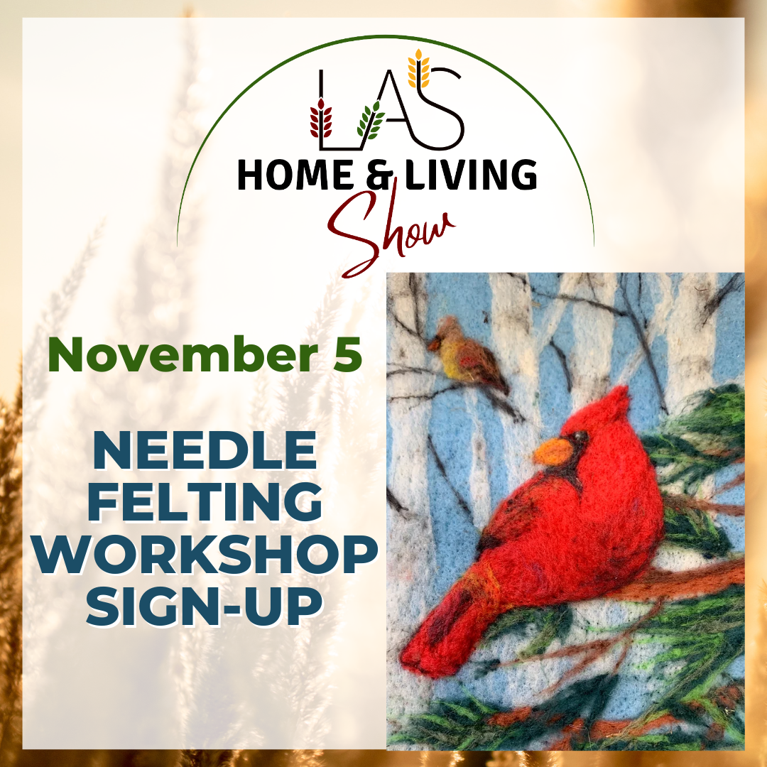 Needle Felting Workshop