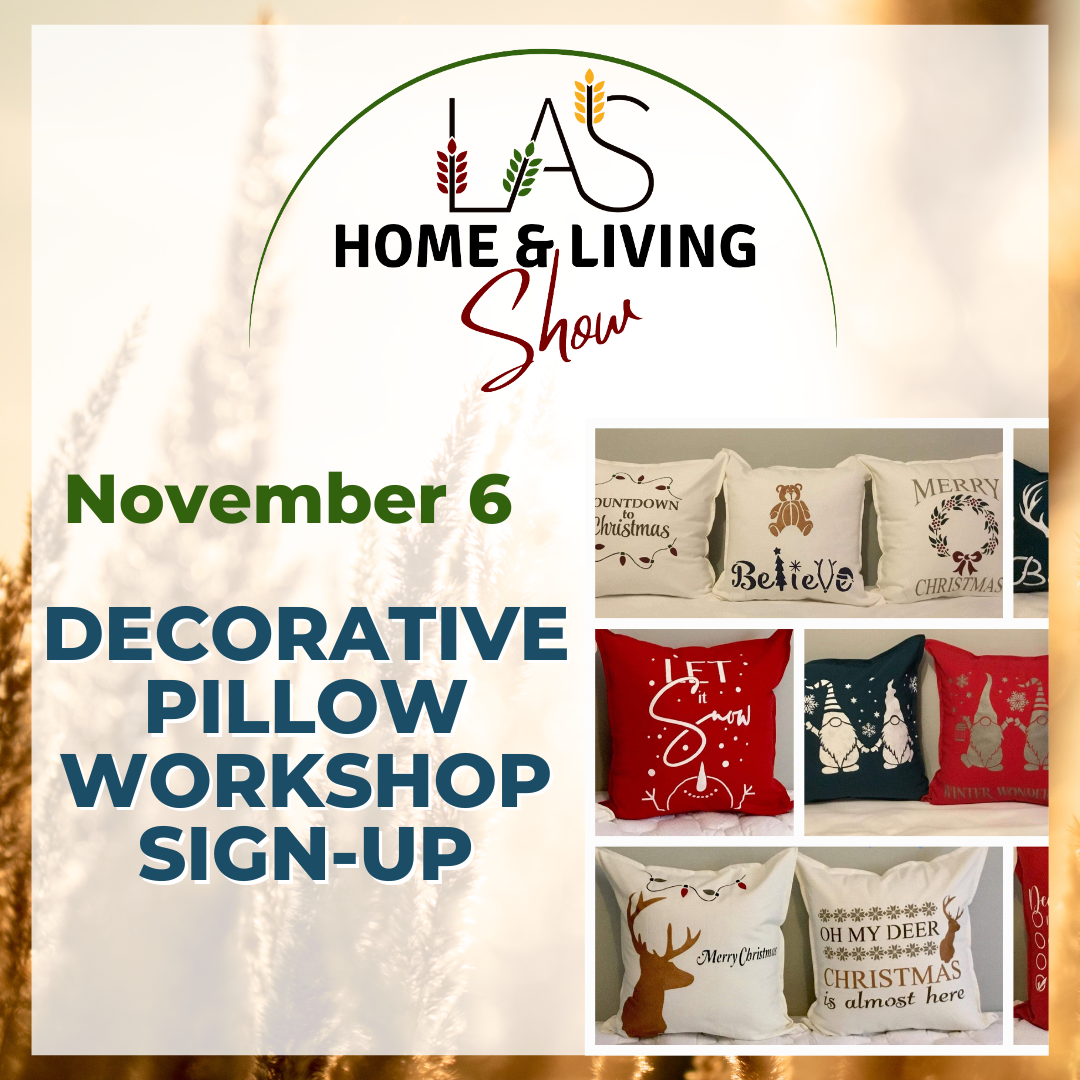 Decorative Pillow Making Workshop